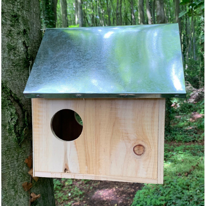 Izaguirre Mounted Squirrel House