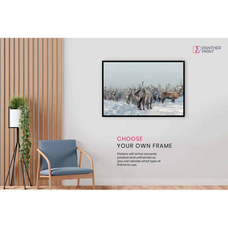 Reindeers In Winter Snow - No Frame Print, 20cm H x 31cm W