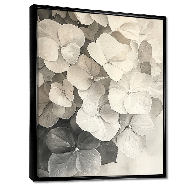 Rétro hortensia en monochrome I - art mural hortensia, Noir, Reproduction avec cadre flottant, H 20 po x l 12 po