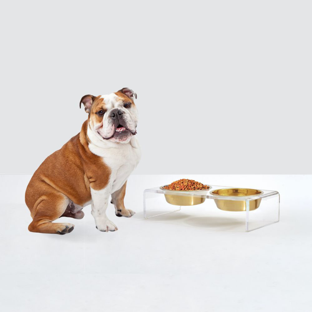 Small Clear Elevated Feeder with Gold Bowls, 1.5 cups, Gold