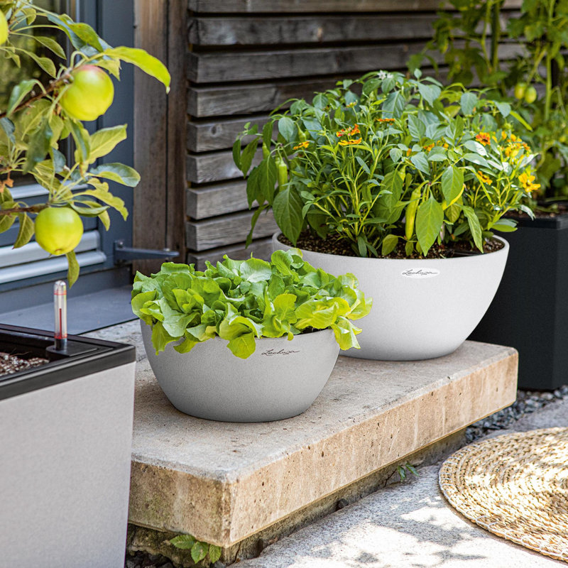 Pot Planter, 18.3cm H x 39.5cm W x 39.5cm D, Quartz White