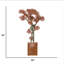 53 po H Bonsai Real-touch