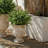Remy Planter Pot-1958398002-1958398004