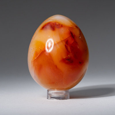 Véritable agate de cornaline (petit) œuf de Madagascar