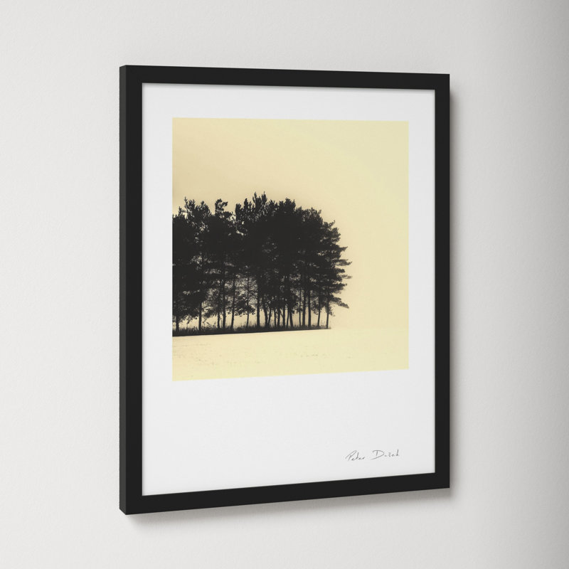 Copse by Peter Dušek, 20" H x 16" W x 1.25" D, Black