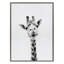 «Giraffe» par Simon Te of Tai, reproduction d'art sur toile encadrée-112661638-112661635