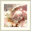Desert Rose 1 Framed Print