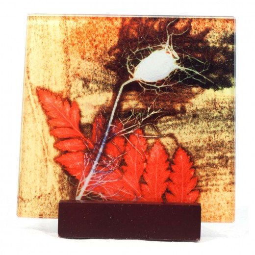 Glass Square 1 Piece Coaster