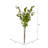Castor Arrangement