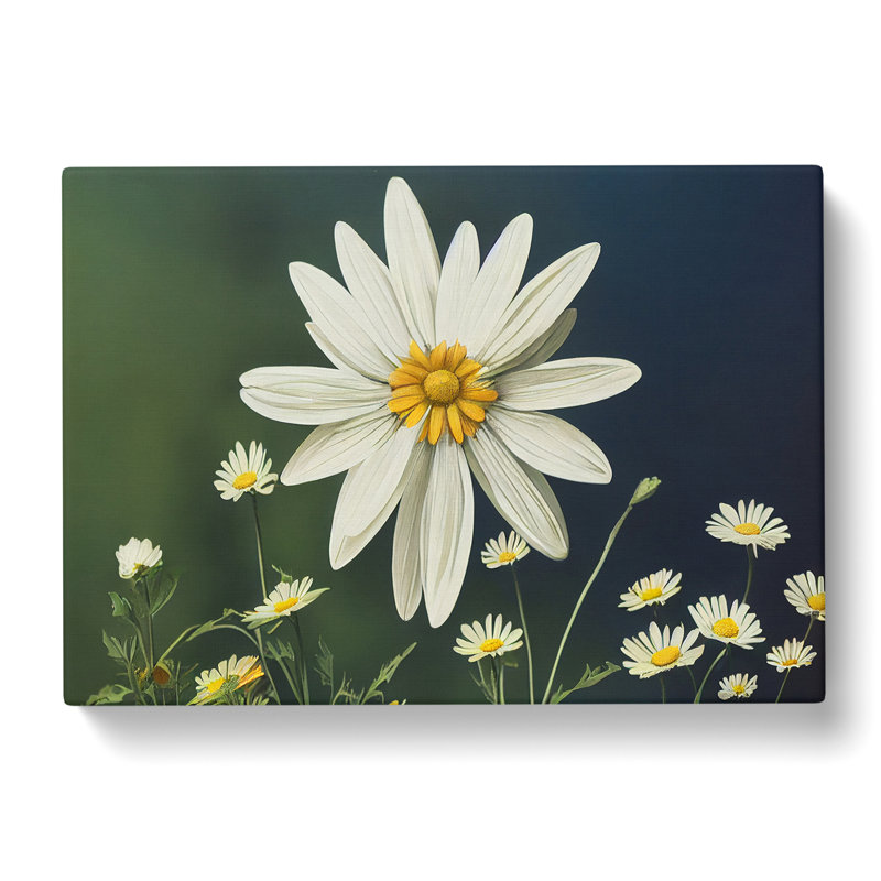 Sparkling Daisy Flowers - Wrapped Canvas, 50cm H x 76cm W x 3cm D