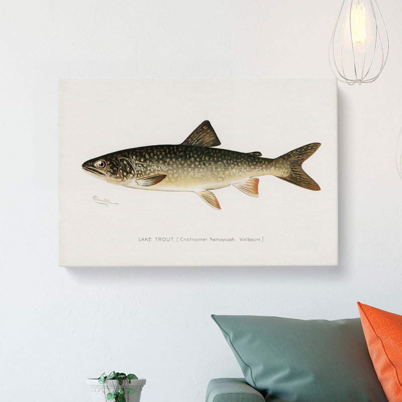 Lake Trout by Sherman F. Denton - Wrapped Canvas Print, 50cm H x 76cm W x 3cm D