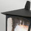 Valentina Frosted Glass Outdoor Wall Lantern-59693280