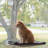 PETMAKER Cat Window Perch for Large Cats, Black