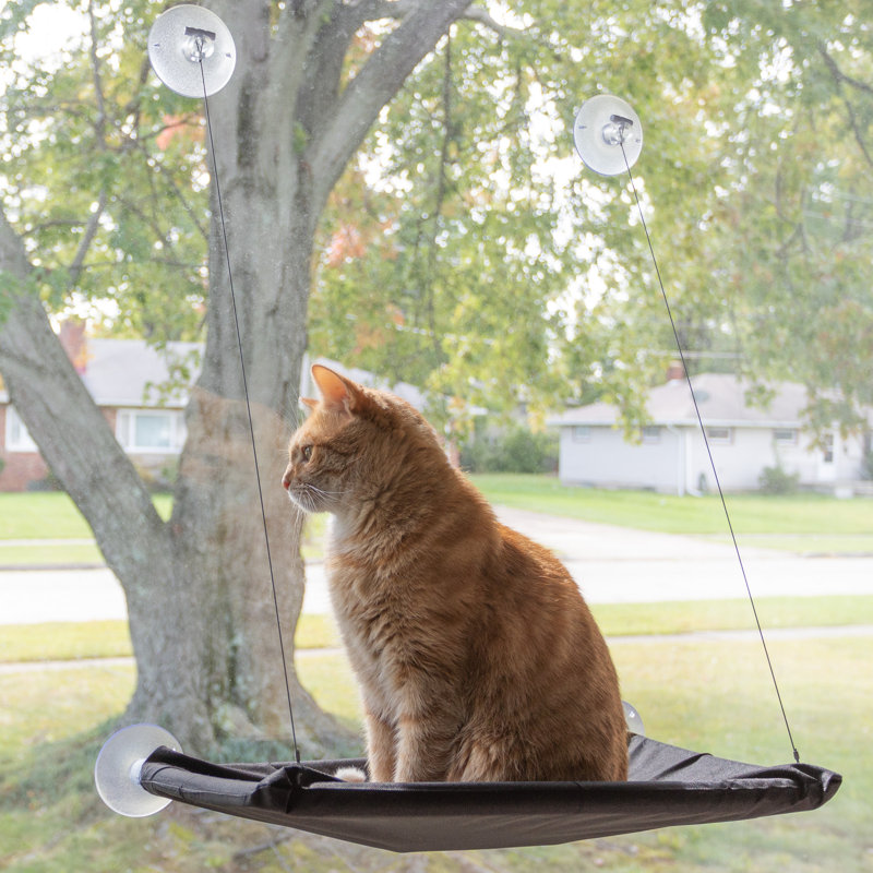 Black Oxford Cloth Cat Window Perch with Suction Cups