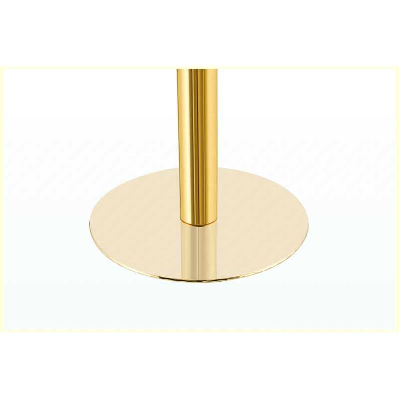 Table basse ronde de luxe moderne 23,6 po, plateau en panneau de fibres à densité moyenne à texture marbrée avec finition peinture UV, bordure en acier inoxydable, pieds en métal, table d'appoint de salon