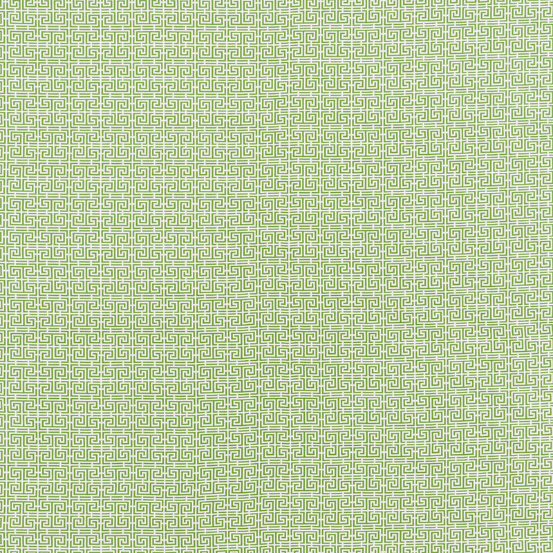 Tissu frettes Chinois, Vert / blanc