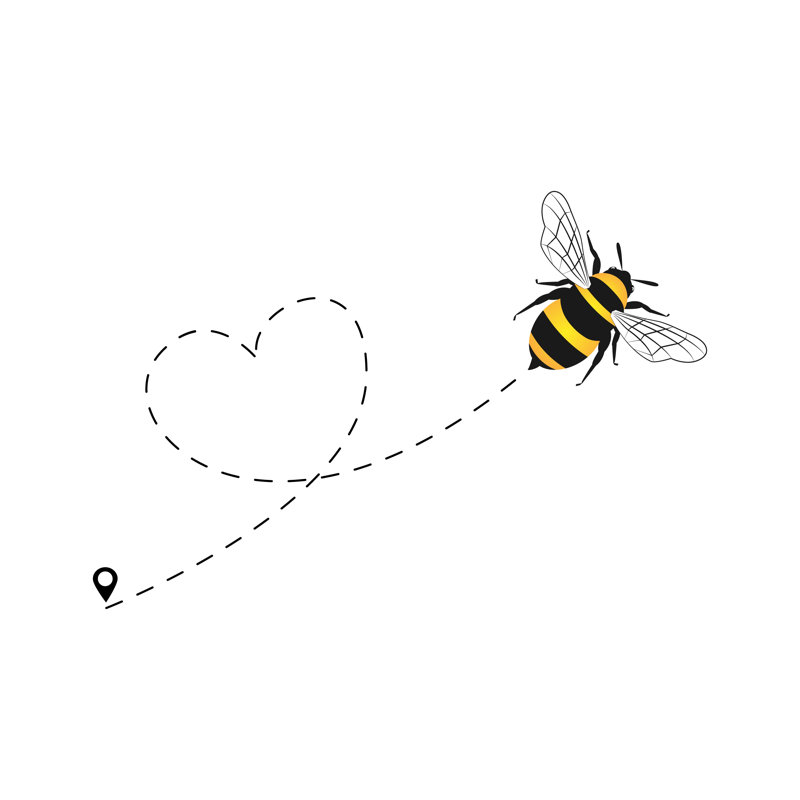 Vowinckel Bee - Wrapped Canvas Print, 30cm H x 30cm W x 3.8cm D