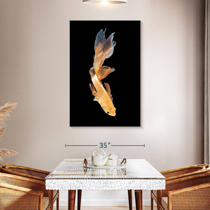 Plongée Brampt Betta, H 24 po x l 16 po