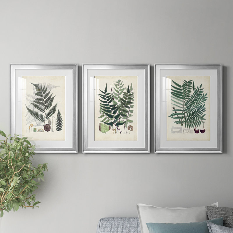 «Ferns VI», reproduction encadrée de qualité supérieure, prête à être accrochée, Cadre argenté, Blanc