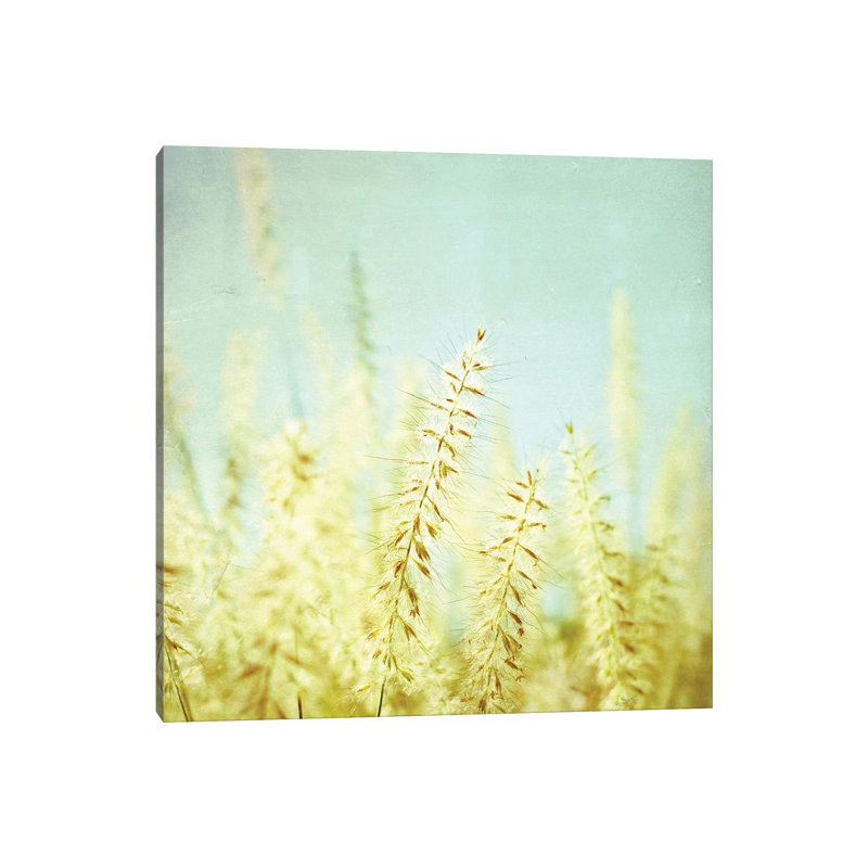 Sway 1 Piece Wrapped Canvas Wall Art, 30.48 cm H x 30.48 cm W
