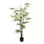 96" Tree in Pot