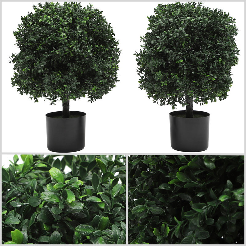 2 - Piece Artificial Evergreen Tree in Pot Set