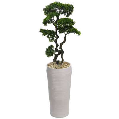 Panama 66'' Faux Bonsai Tree in Fiberstone Planter