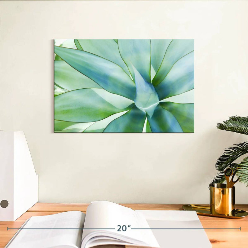 Harnek, feuilles d'agave, H 8 po x l 12 po