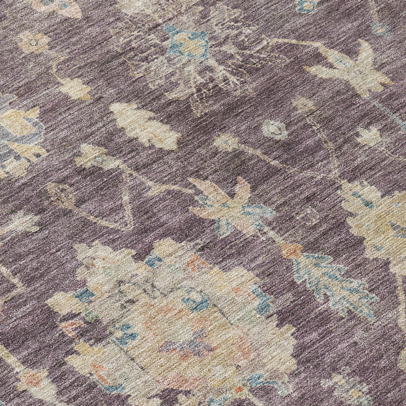 Machine Washable Indoor/Outdoor Francky ACN2355 Traditional Rug, Rectangle 10' x 14'
