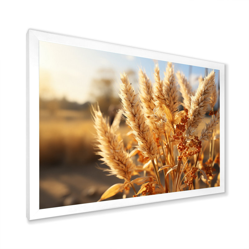 Beige herbes champêtre I - décoration murale paysages, H 30 po x l 40 po, Cadre photo blanc