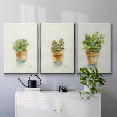 Succulent I, encadré sur toile, 3 pièces