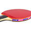 Raquette 702 fl bty