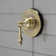 Single-Handle Three-Way Diverter Valve with Trim Kit