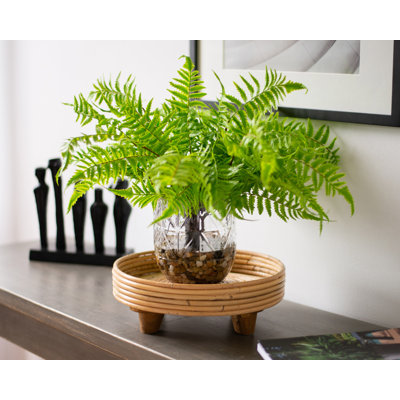 Vase mélangé de 20 po
