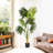 4ft Artificial California Palm Tree In Plastic Nursery Pot