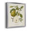 Vintage Pears I - ensemble de 2 reproductions d'art sur toile encadrées