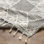 Tapis gris-501449681