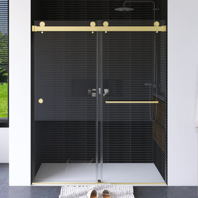 55''-59'' W X 72" H Brushed Frameless Sliding Shower Door