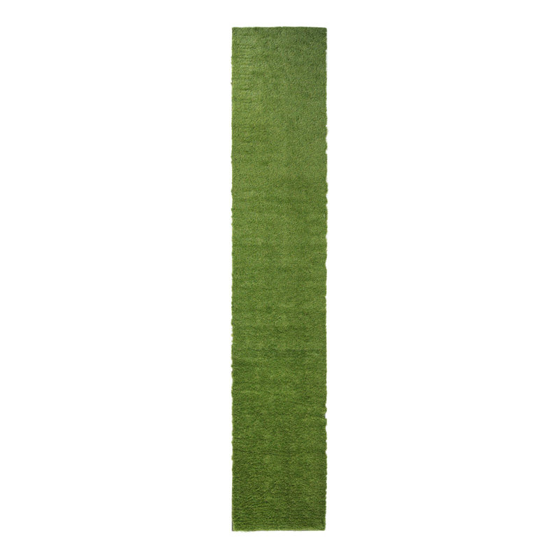 Tapis intérieur / extérieur Cathlyn, Tapis de couloir 3 pi 3 po x 19 pi 8 po