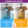 Tenisha 52'' Ceiling Fan with LED Lights
