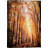 Autumn Fall " Orange Brown Autumn Forest Trees Landscape Pictures "-99142219-99142220