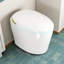 Toilette intelligente une pièce avec bidet, siège à ouverture / fermeture automatique, eau chaude et sécheuse, fonctionnement mains libres-128993272