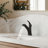 Single Hole Pull-Out Bathroom Faucet, 2-Function Sprayer Bathroom Sink Faucet with Drain Assembly-120089892