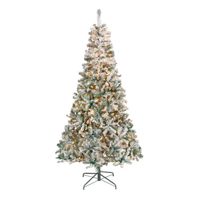 Acacia Flocked Tree with Clear Lights