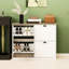 Armoire de rangement pour chaussures - 4 tiroirs rabattables au design moderne blanc pour l'entrée et la ventilation