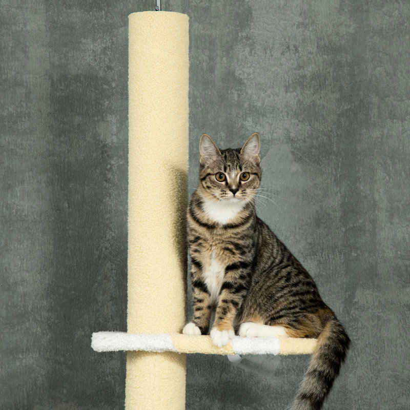 4 hautes tours à chat, du sol au plafond, hauteur réglable de 87 à 103 pouces, plateformes douces, poteaux à griffer, jaune pour chats d'intérieur flottants