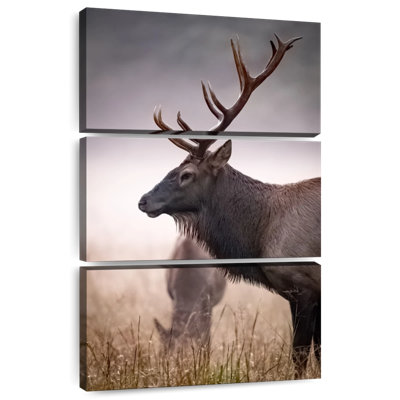Brampt Mighty Bull Elk