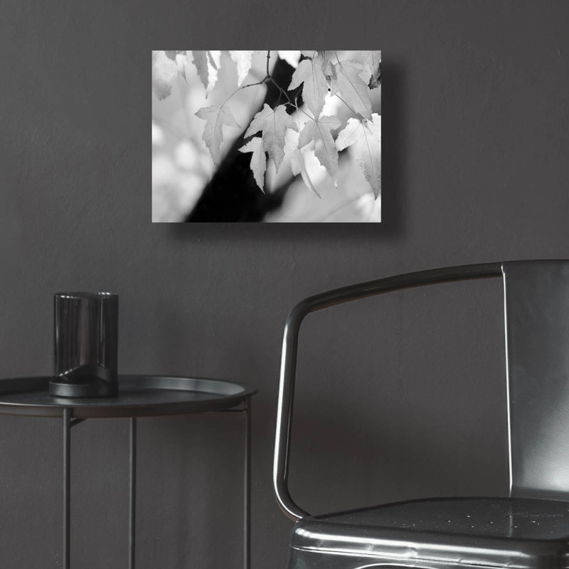 "Leaves And Light" par Nicholas Bell, photographie, H 12 po x l 16 po