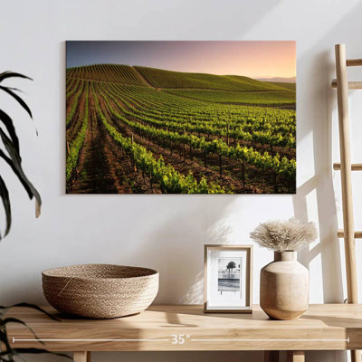 Alvord Carneros Winery