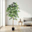 Ficus artificiel 6 pi avec tronc naturel en pot noir pour la décoration intérieure et extérieure